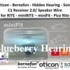 Oticon bernafon sonic c1 receiver 2 speaker minifit