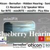 hidden hearing