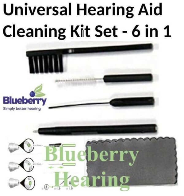 hearing aid cleaning kit